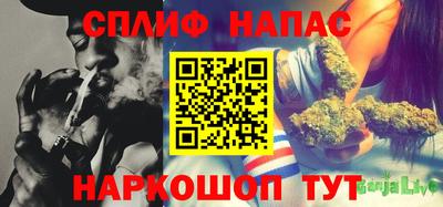 гидра Малоярославец