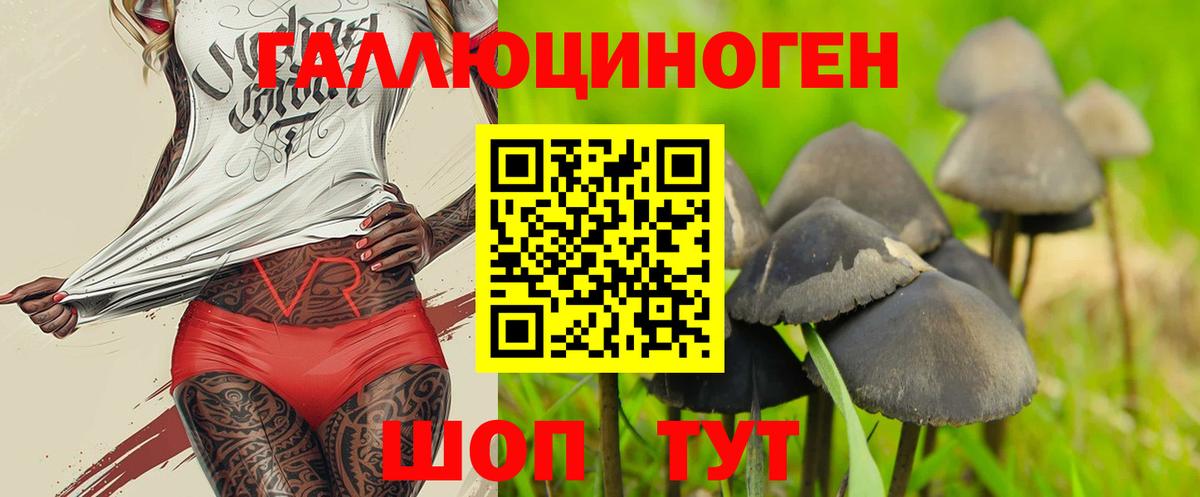 Псилоцибиновые грибы Psilocybine cubensis Трёхгорный